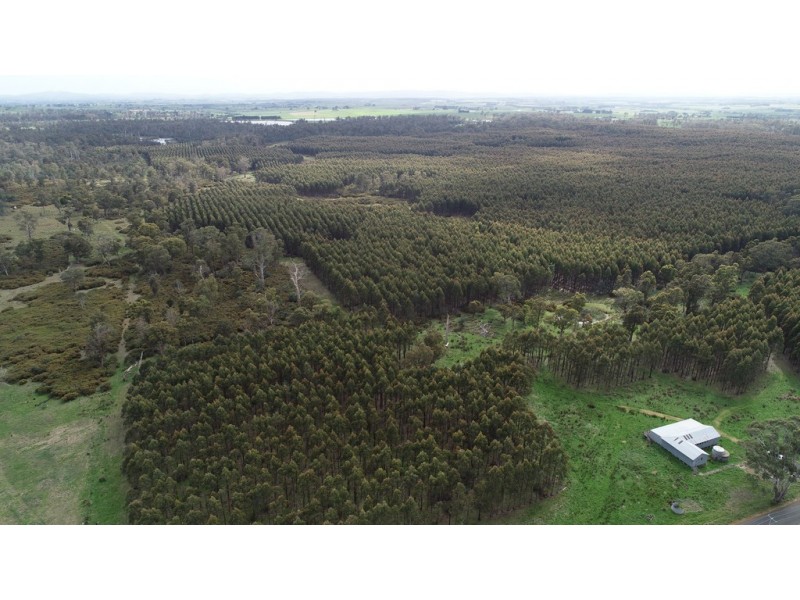 . Bracknell Road, Bracknell TAS 7302