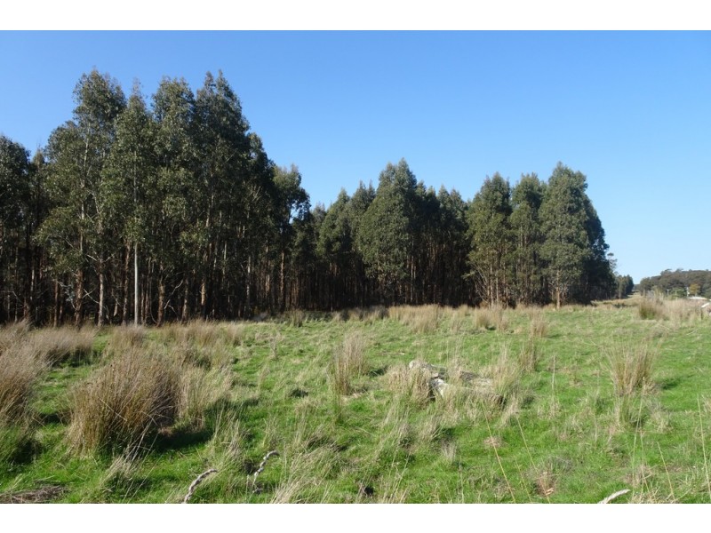 . Bracknell Road, Bracknell TAS 7302