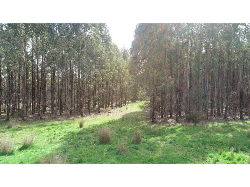 . Bracknell Road, Bracknell TAS 7302