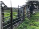 “Bokara” Heddles Road, North Road and Snodgrass Lane, Loorana TAS 7256