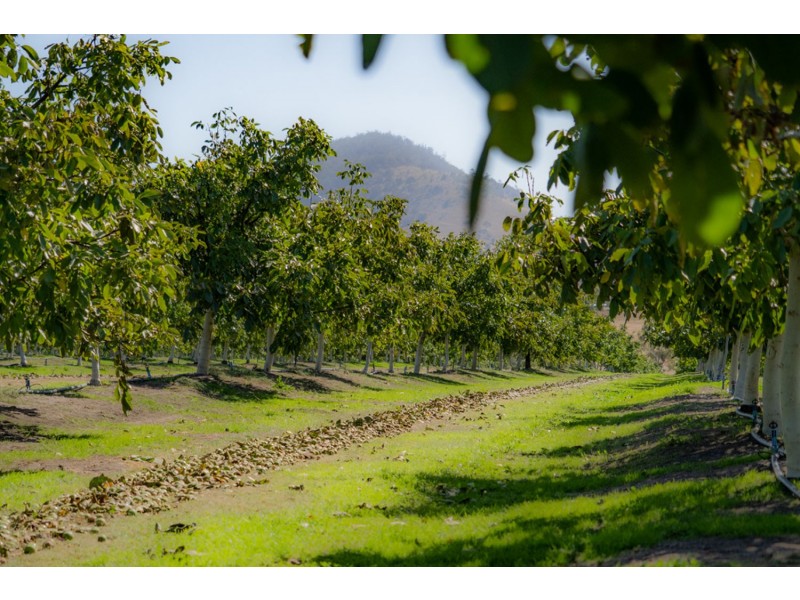 596 Colebrook Road, Campania TAS 7026