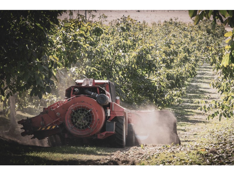 596 Colebrook Road, Campania TAS 7026