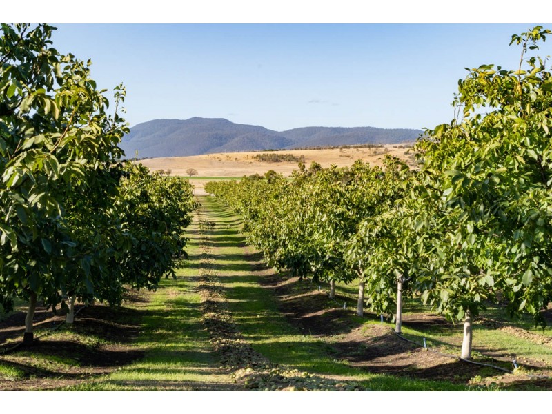 596 Colebrook Road, Campania TAS 7026