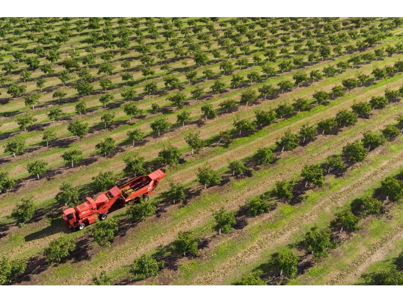 596 Colebrook Road, Campania TAS 7026