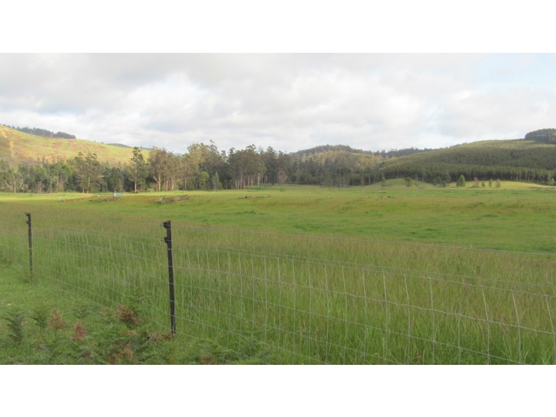 Lots 3 and 5 Nook Road, Nabowla TAS 7260