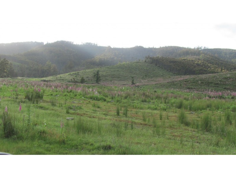 Lots 3 and 5 Nook Road, Nabowla TAS 7260