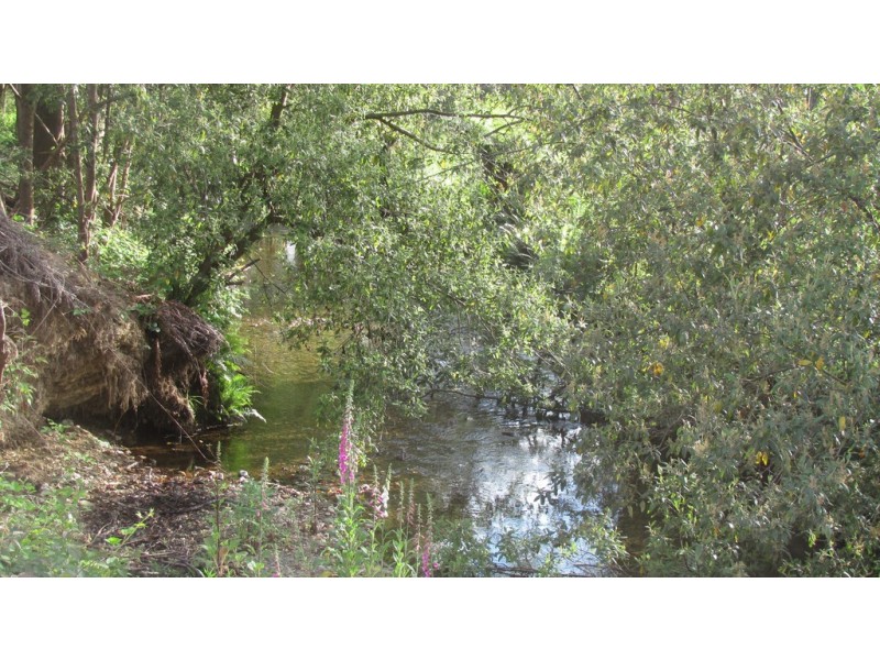 Lots 3 and 5 Nook Road, Nabowla TAS 7260