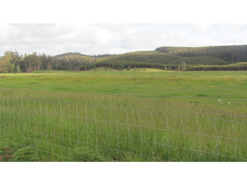 Lots 3 and 5 Nook Road, Nabowla TAS 7260