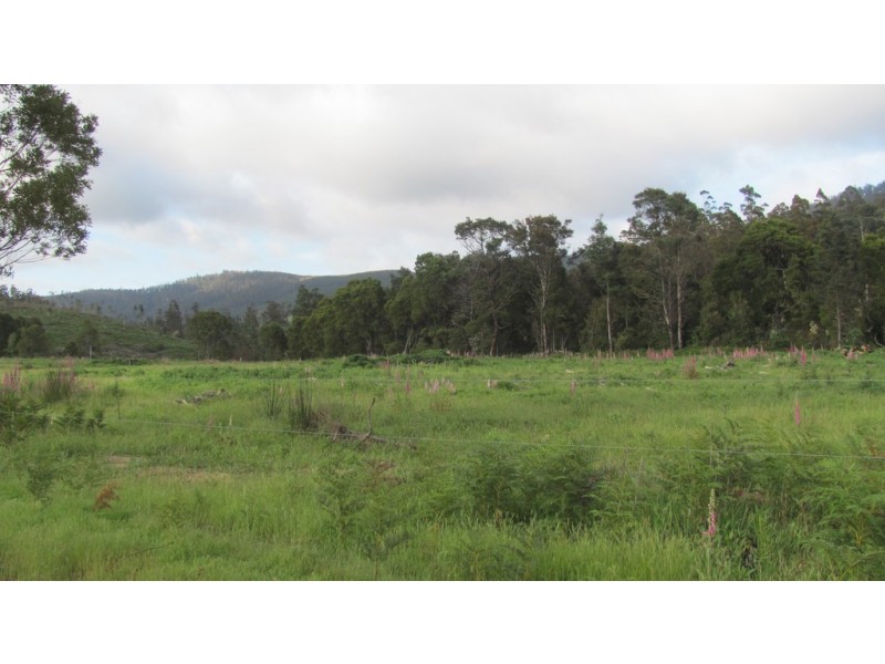 Lots 3 and 5 Nook Road, Nabowla TAS 7260