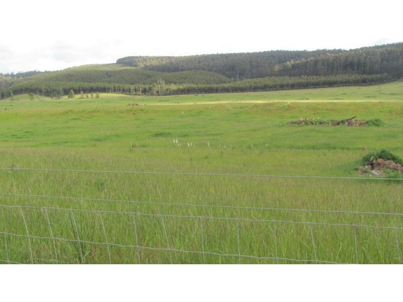 Lots 3 and 5 Nook Road, Nabowla TAS 7260