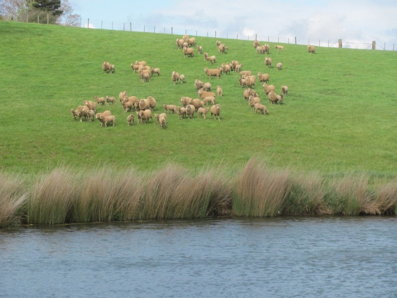 211 Chapel Road, Sassafras TAS 7307