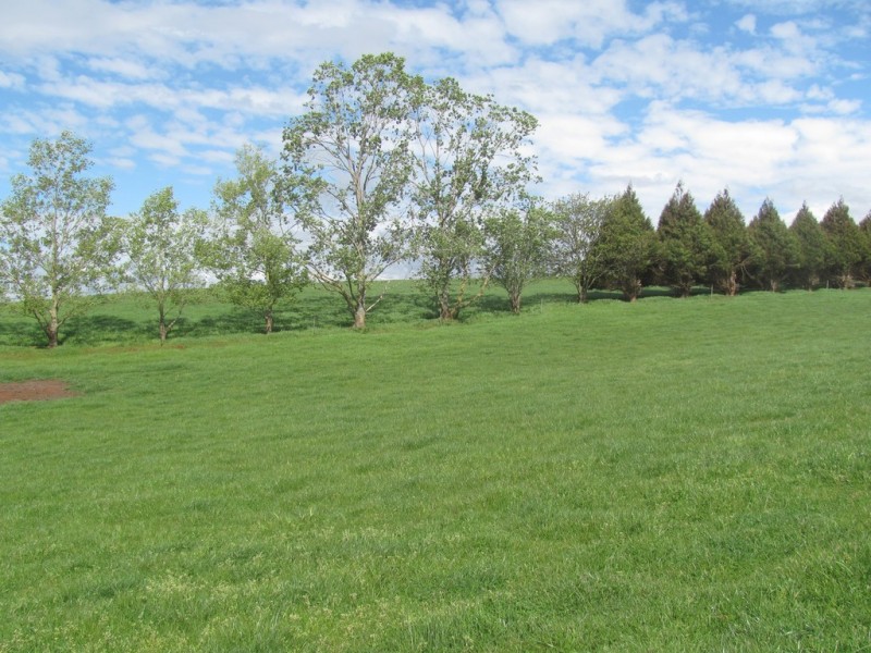 211 Chapel Road, Sassafras TAS 7307