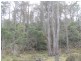 . Calders Gully Road, Mangana TAS 7214