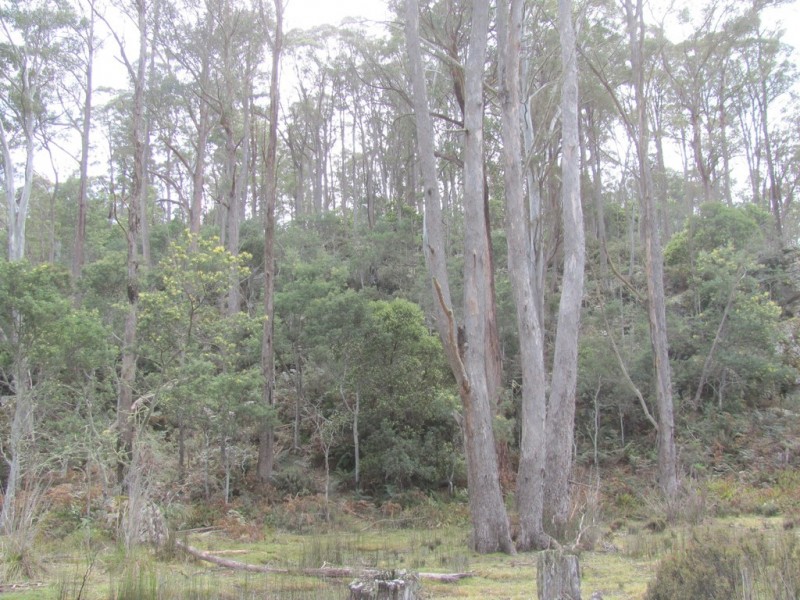 . Calders Gully Road, Mangana TAS 7214