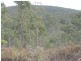 . Calders Gully Road, Mangana TAS 7214