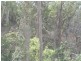 . Calders Gully Road, Mangana TAS 7214