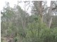 . Calders Gully Road, Mangana TAS 7214