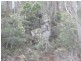 140 Fishers Tier Road, Rossarden TAS 7213