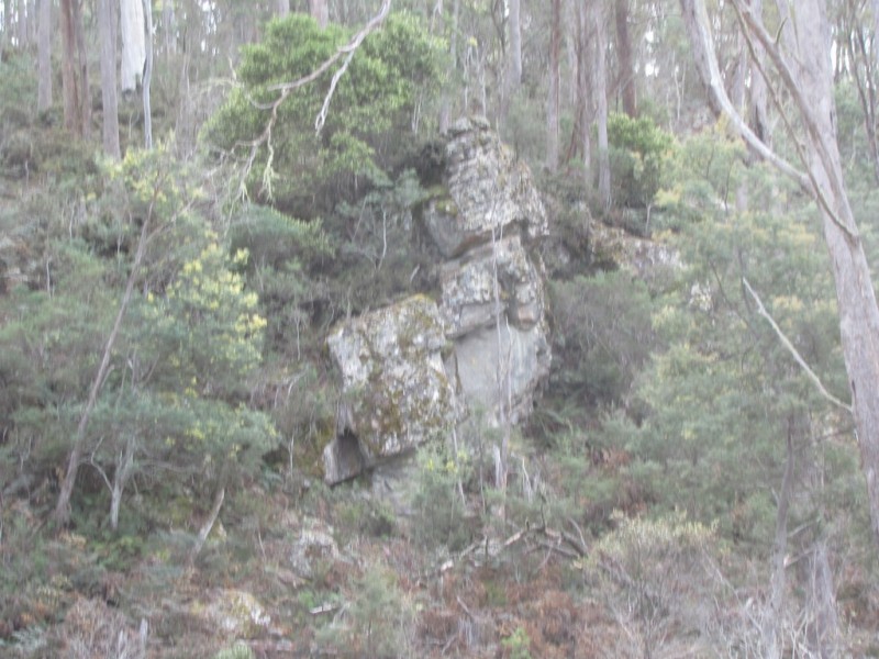 140 Fishers Tier Road, Rossarden TAS 7213