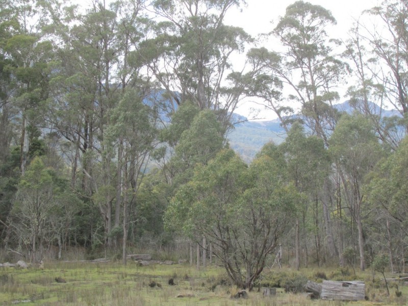 140 Fishers Tier Road, Rossarden TAS 7213