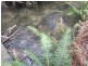 140 Fishers Tier Road, Rossarden TAS 7213