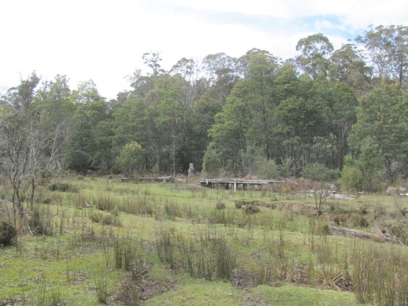 140 Fishers Tier Road, Rossarden TAS 7213