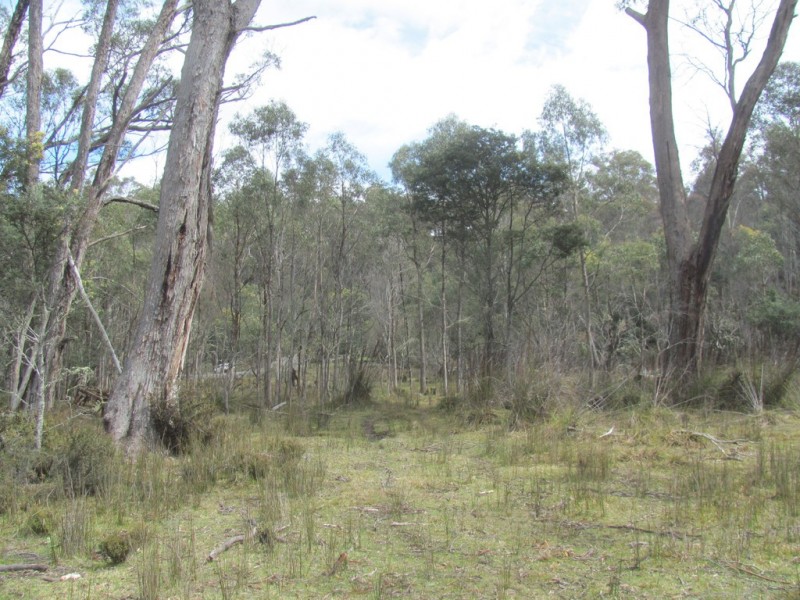 140 Fishers Tier Road, Rossarden TAS 7213