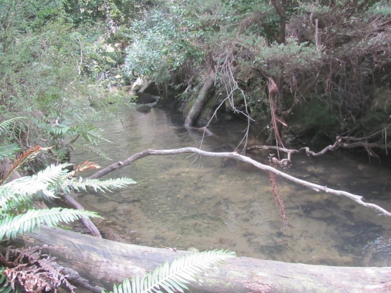 140 Fishers Tier Road, Rossarden TAS 7213
