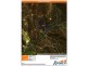 140 Fishers Tier Road, Rossarden TAS 7213