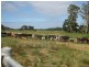 1394 Trowutta Road, Edith Creek TAS 7330