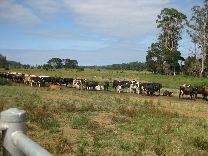 1394 Trowutta Road, Edith Creek TAS 7330