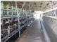 1394 Trowutta Road, Edith Creek TAS 7330