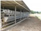 1394 Trowutta Road, Edith Creek TAS 7330