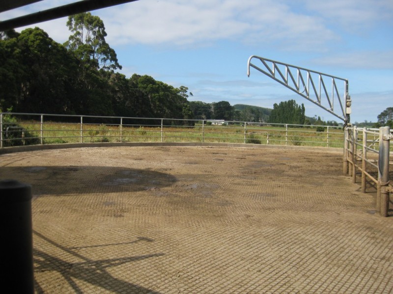 1394 Trowutta Road, Edith Creek TAS 7330