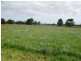 1394 Trowutta Road, Edith Creek TAS 7330