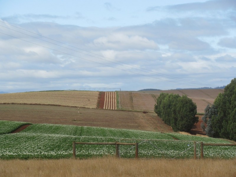 46 Chuggs Road, Forth TAS 7310