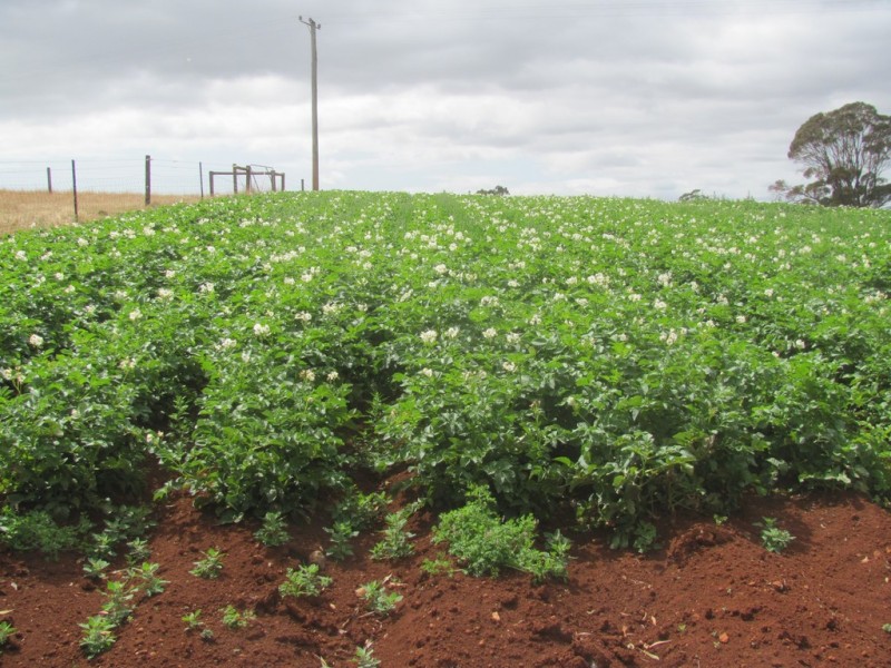 46 Chuggs Road, Forth TAS 7310