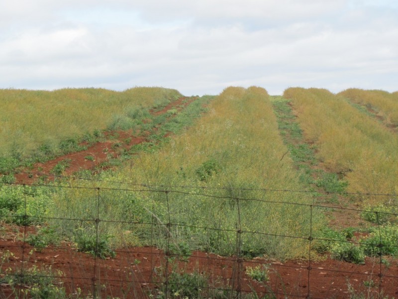 46 Chuggs Road, Forth TAS 7310