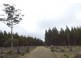 . Long Marsh Road, Lake Leake TAS 7210