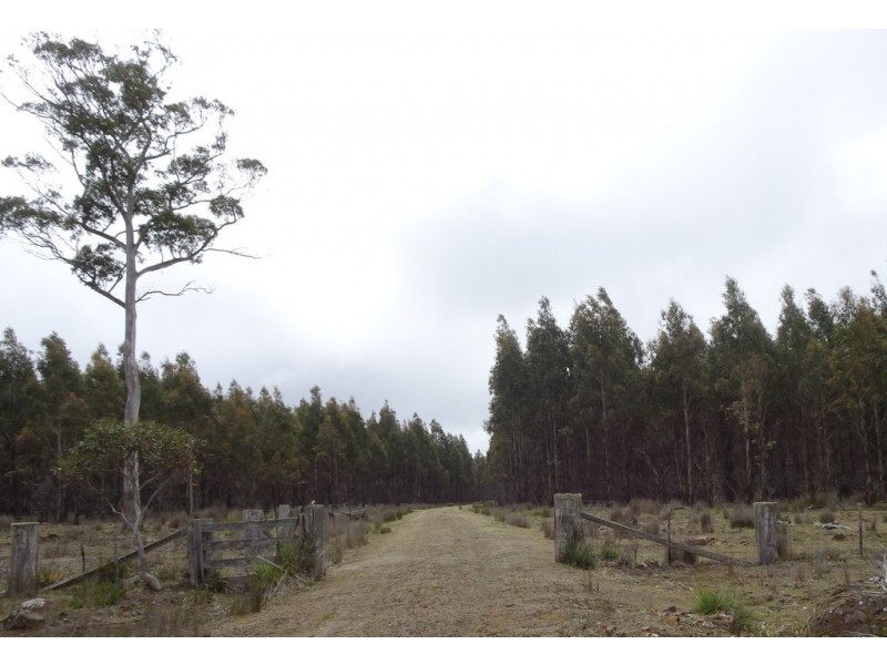 . Long Marsh Road, Lake Leake TAS 7210