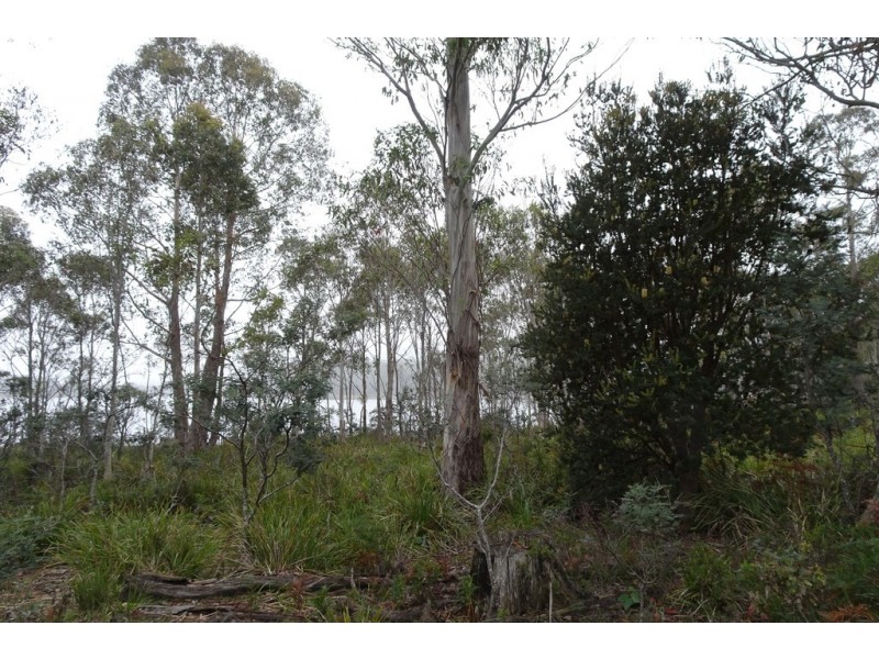 . Long Marsh Road, Lake Leake TAS 7210