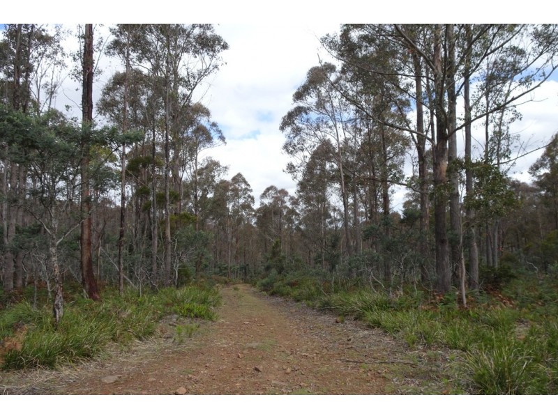 . Long Marsh Road, Lake Leake TAS 7210