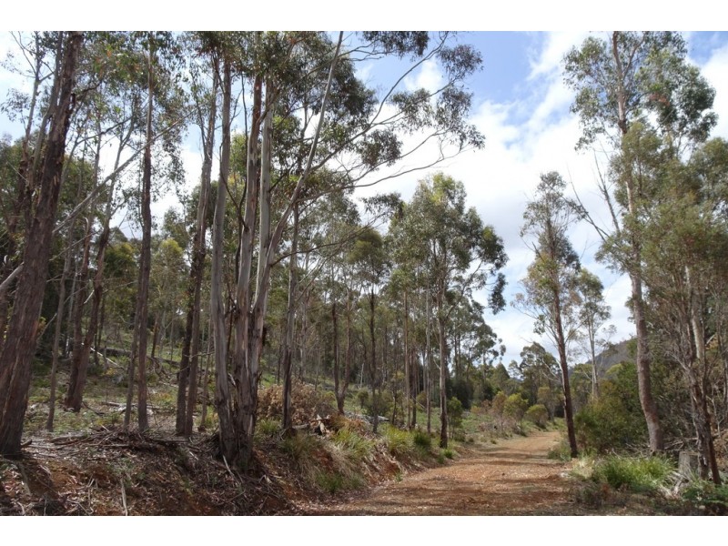 . Long Marsh Road, Lake Leake TAS 7210