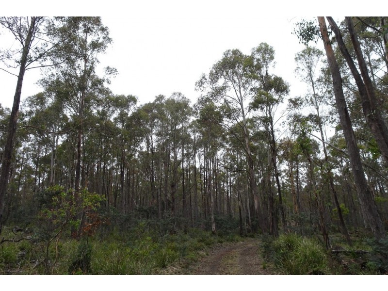 . Long Marsh Road, Lake Leake TAS 7210