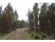 . Long Marsh Road, Lake Leake TAS 7210