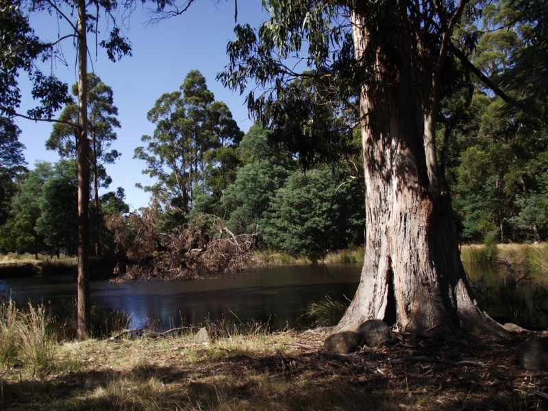 . Judds Hill Road and Costains Road, Geeveston TAS 7116