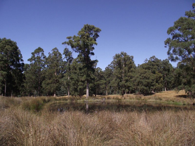 . Judds Hill Road and Costains Road, Geeveston TAS 7116