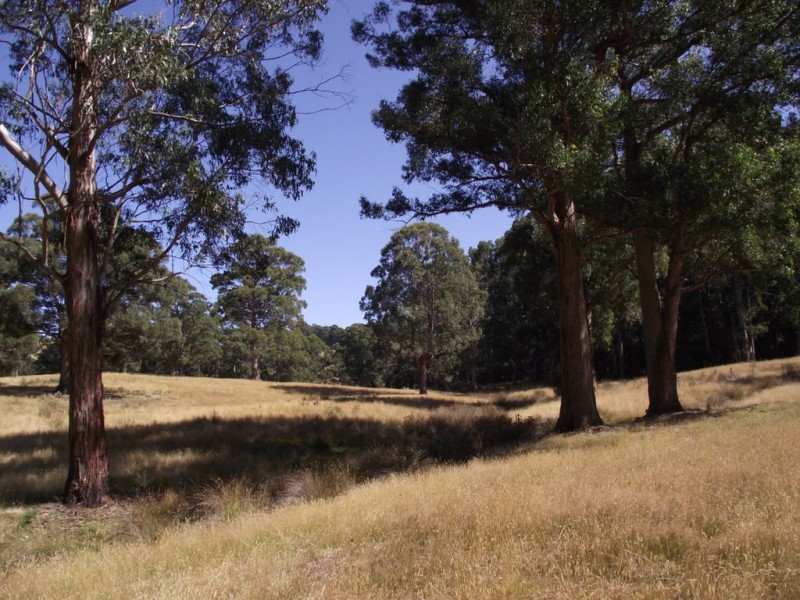 . Judds Hill Road and Costains Road, Geeveston TAS 7116