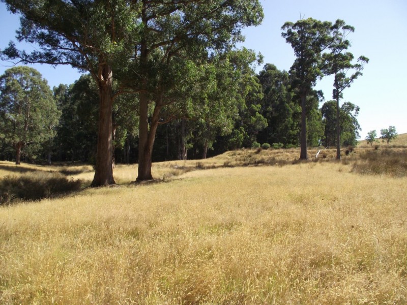 . Judds Hill Road and Costains Road, Geeveston TAS 7116