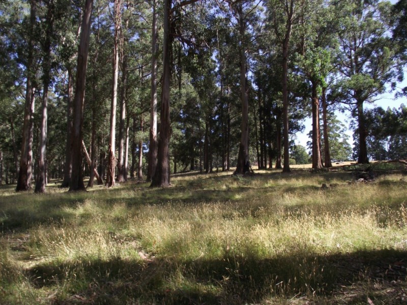 . Judds Hill Road and Costains Road, Geeveston TAS 7116